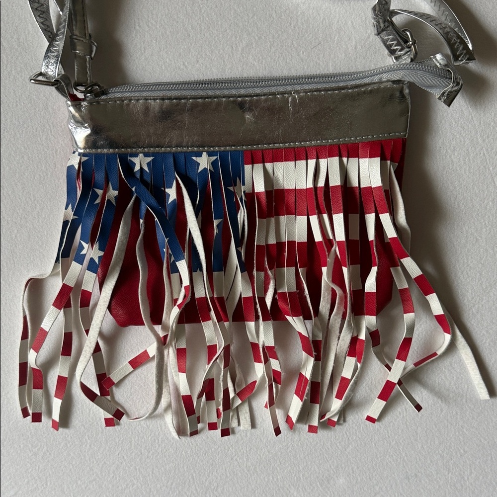 Silver and Multicolor Fringe Women's‎ USA Bag